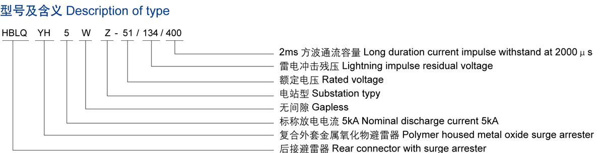 35KV歐式后接避雷器
